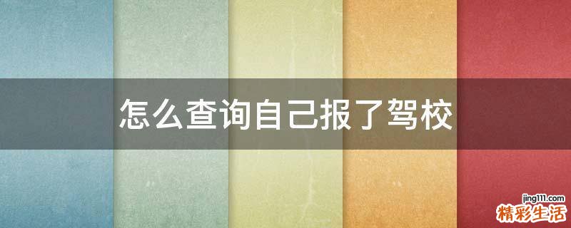 怎么查询自己报了驾校