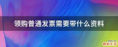 领购普通发票需要带什么资料