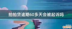 拍拍贷逾期60多天会被起诉吗