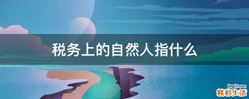 税务上的自然人指什么
