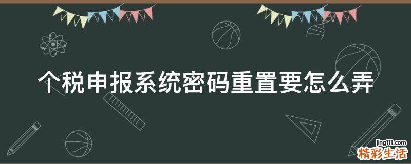 个税申报系统密码重置要怎么弄