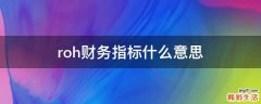 roh财务指标什么意思