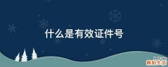 什么是有效证件号