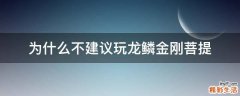 为什么不建议玩龙鳞金刚菩提