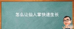 怎么让仙人掌快速生长