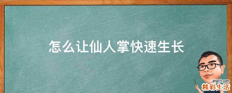 怎么让仙人掌快速生长