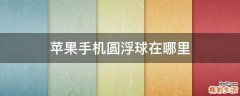 苹果手机圆浮球在哪里