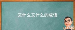 又什么又什么的成语