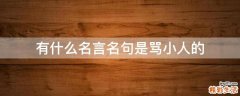 有什么名言名句是骂小人的