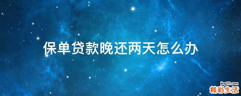 保单贷款晚还两天怎么办