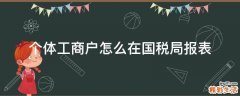 个体工商户怎么在国税局报表