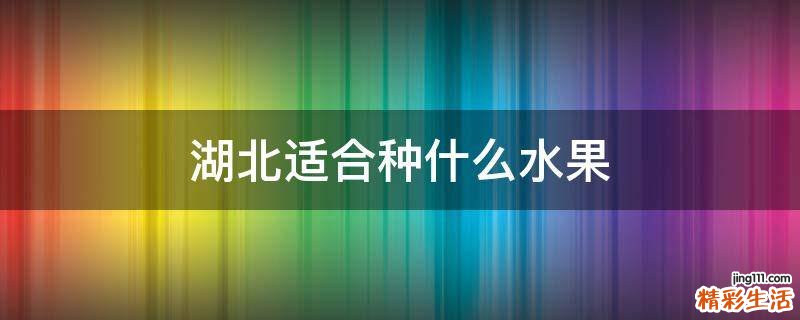 湖北适合种什么水果
