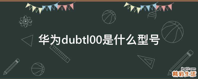 华为dubtl00是什么型号