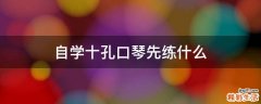 自学十孔口琴先练什么