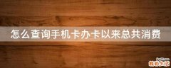 怎么查询手机卡办卡以来总共消费