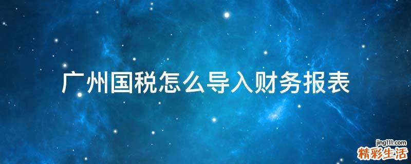 广州国税怎么导入财务报表