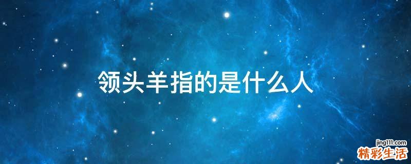 领头羊指的是什么人