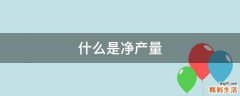 什么是净产量