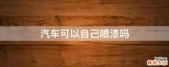 汽车可以自己喷漆吗