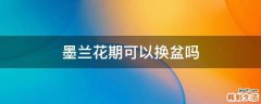 墨兰花期可以换盆吗
