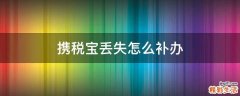 携税宝丢失怎么补办