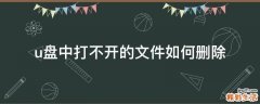 u盘中打不开的文件如何删除