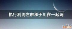 执行利剑左琳和于川在一起吗
