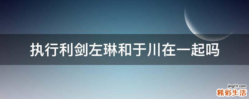 执行利剑左琳和于川在一起吗