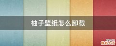 柚子壁纸怎么卸载