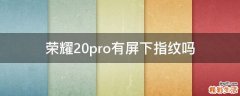荣耀20pro有屏下指纹吗