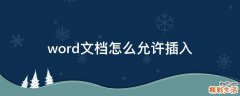 word文档怎么允许插入