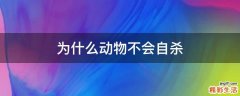 为什么动物不会自杀