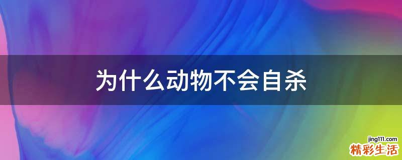为什么动物不会自杀