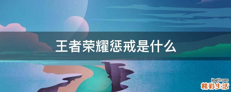 王者荣耀惩戒是什么