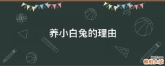 养小白兔的理由