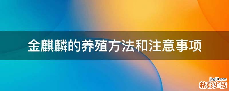 金麒麟的养殖方法和注意事项