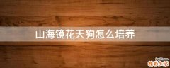 山海镜花天狗怎么培养