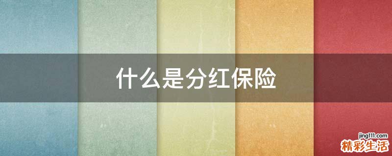什么是分红保险