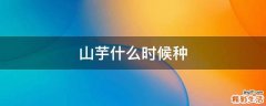 山芋什么时候种