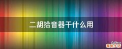 二胡拾音器干什么用