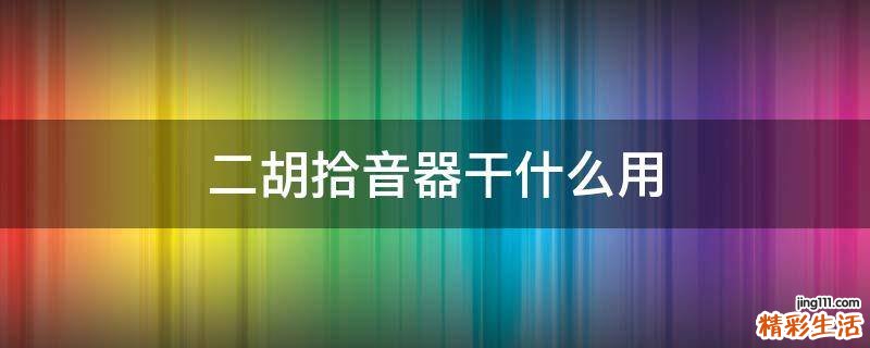 二胡拾音器干什么用