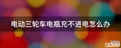 电动三轮车电瓶充不进电怎么办