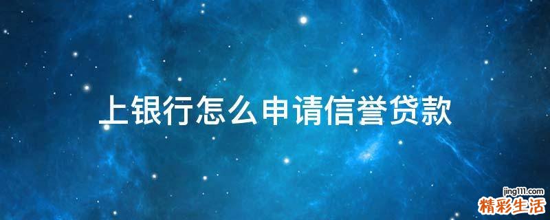 上银行怎么申请信誉贷款