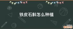 铁皮石斛怎么种植