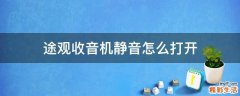 途观收音机静音怎么打开