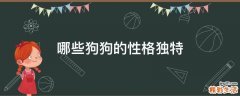 哪些狗狗的性格独特