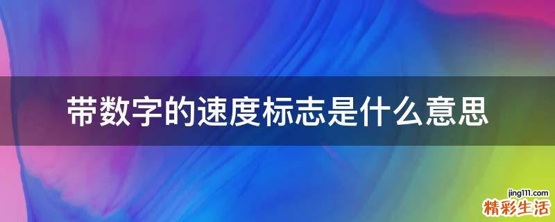 带数字的速度标志是什么意思