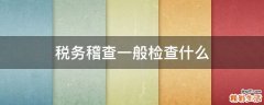 税务稽查一般检查什么