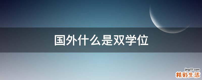 国外什么是双学位
