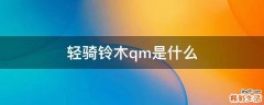 轻骑铃木qm是什么